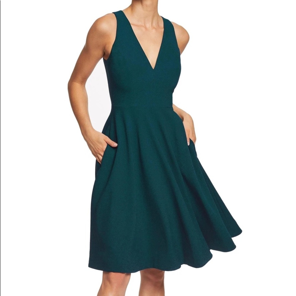 Dress the Population Catalina Fit & Flare Dress